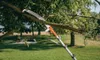 Gärtnersäge mit Gartenschere Teleskop 5.50M V-Serie Produktbild-Vorschau 7