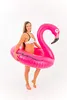Didak Pool - Flamingo Swim Ring - 110cm Produktbild-Vorschau 4