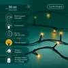 Lumineo, USB Lichterkette BASIC Twinkle, 50 LED 3,7 m, Produktbild-Vorschau 2