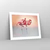 Poster - Poster ohne Rahmen - Flamingos Exotik Vögel - Produktbild-Vorschau 7