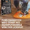 Aktivkohle-Zahnreinigungsflocken für Katzen Produktbild-Vorschau 3