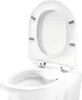 A close-up view of a white toilet bowl with the lid open. Podgląd zdjęcia produktu