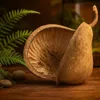 Buddhanuss Natur 8–15cm Terrarium Aquarium Deko Versteck Produktbild-Vorschau 5