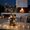 Guirlande lumineuse filaire 795 cm avec 160 LED et 8 Voir les images du produit 3