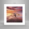 Poster - Poster ohne Rahmen - £ódŸ Westen Die Sonne - 30x30 Produktbild-Vorschau 4