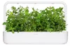 EMSA Click & Grow Peppermint Anteprima dell’immagine prodotto 5