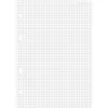 A sheet of graph paper with three punched holes on the left side. Produktbild-Vorschau