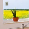 Digitales Fensterthermometer Window TFA 30.1067.15 Produktbild-Vorschau 5