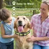 Zimilo Anti Bell Hundehalsband mit Vibration & Produktbild-Vorschau 5