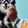 LEGO 41801 DOTS zvířecí náramek, sada šperků, kreativní DIY Náhled obrázku produktu 12