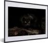 MuchoWow® MuchoWow® Gerahmtes Poster Panther - Wald - Augen Produktbild-Vorschau 1