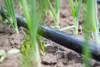 Tropfschlauch 100m 33cm 2l/h 16mm  Verlegerohr Perlschlauch Produktbild-Vorschau 6