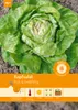 Artikelbild 1 von 'Kopfsalat Maikönig' aus der Kategorie Kopfsalatsamen Produktbild-Vorschau