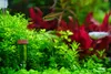 PVC Schlauch Grün Aquariumschlauch, Durchmesser: 4/6 mm, Produktbild-Vorschau 4