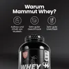 Mammut Nutrition - Whey Protein - 3000 g Dose, 1 x 3000 g Produktbild-Vorschau 3