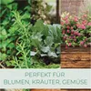 Beet Strend Pro Garden, 200x100x77cm, 3D-Design Holz, Produktbild-Vorschau 8