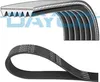 DAYCO Keilrippenriemen 1660,0mm für VW Golf IV Schrägheck Produktbild-Vorschau 12