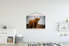 MuchoWow® Textilposter Schottischer Highlander - Düne - Produktbild-Vorschau 2