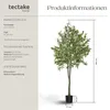 Umělý olivovník Oleand, realistická textura - 180 cm Náhled obrázku produktu 13
