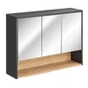 Spiegelschrank 100 cm BOLOGNA-56 in anthrazit mit Artisan Produktbild-Vorschau 4