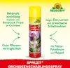 Neudorff Spruzit OrchideenSchädlingsSpray 300 ml Produktbild-Vorschau 2