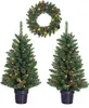Black Box Trees Creston Set mit 2 Weihnachtsbäumen und 1 Produktbild-Vorschau 1