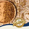 3 x 5 kg Lyra Pet® Mehlwürmer getrocknet Produktbild-Vorschau 4