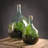 25 L Gärballon, Vase, Blumenvase Decorations Glasballon Produktbild-Vorschau 9