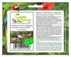 30x Catharanthus roseus Madagaskar Immergrün Strauch Produktbild-Vorschau 1