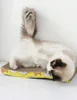 A fluffy cat is lying on its back on a scratching pad. Voir les images du produit