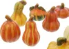 FRANK FLECHTWAREN Kürbis Deko, Terracotta-Kürbis, im 12er Produktbild-Vorschau 4