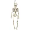 Squelette Halloween Décoration d'horreur environ 40 cm Voir les images du produit 10