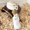 5PCS Lollipop Form Kauen Sticks Für Hamster Kaninchen Produktbild-Vorschau 4