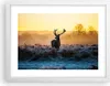 Gerahmtes Poster - Weißer Rahmen - Feld Nebel Natur Baum - Produktbild-Vorschau 1