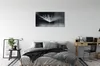 Glasbilder 140x70 Wandkunst Tropfen Löwenzahn-Makro Produktbild-Vorschau 3