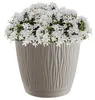 MOCCAKANNE 19cm Kanne mit CLIC+DROP Untertasse Mokka Produktbild-Vorschau 9