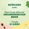 Teisseire Getränke-Sirup Lime/Limette 600ml - Intensiv im Produktbild-Vorschau 1