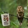 Owl You Need Is Tea TeeDose 900ml mit Aquarell Eule Produktbild-Vorschau 5