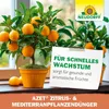 Neudorff Azet Zitrus- & Mediterran PflanzenDünger – 100% Produktbild-Vorschau 7