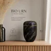 Bio Urne für Asche Schwarz Gold – Biologisch Abbaubare Produktbild-Vorschau 2