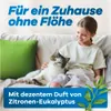 Gerobug Flohspray für Wohnung 500 ml - Effektives Mittel Produktbild-Vorschau 6