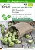 SAFLAX - BIO - Rosenkohl - Groninger - Brassica oleracea Produktbild-Vorschau 1