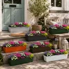Blumenkasten Standard 60 cm anthrazit Produktbild-Vorschau 5