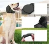 INF Protection d'oreille étanche pour chien - Natation et Voir les images du produit 3