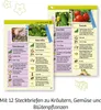 Ma première serre Plante ton jardin 5+ Voir les images du produit 6