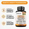 Mushroom Complex 11500mg (120 capsules) Complément Voir les images du produit 4