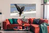 MuchoWow® Poster Weißkopfseeadler - Weißgesicht - Fliegen - Produktbild-Vorschau 2