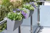 Fioriera da balcone BALKONA CLASSICO in plastica grigio Anteprima dell’immagine prodotto 6