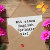 Mr. & Mrs. Panda Glückwunschkarte Spruch English Springer Produktbild-Vorschau 3