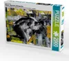 CALVENDO Puzzle Ein Motiv aus dem Kalender Männer - Produktbild-Vorschau 1